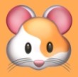 星辰视频下载APP应用