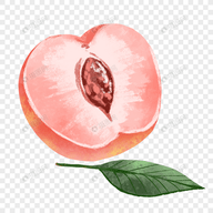 WWW,806av·COM网站APPAPP应用