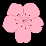 WWW,se655·COM网站APPAPP应用